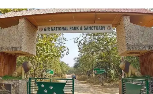 Gir National Park 1