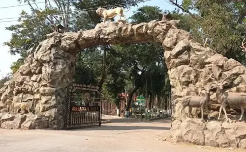 Gir National Park 3