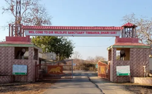 Gir Wildlife Sanctuary, Timbarva-1